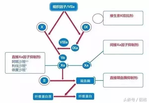 房颤患者急救知识,房颤知识讲解视频