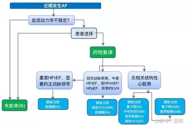 房颤患者急救知识,房颤知识讲解视频
