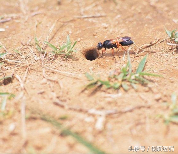 云南人站在食物链的顶端,死也不吃的食物