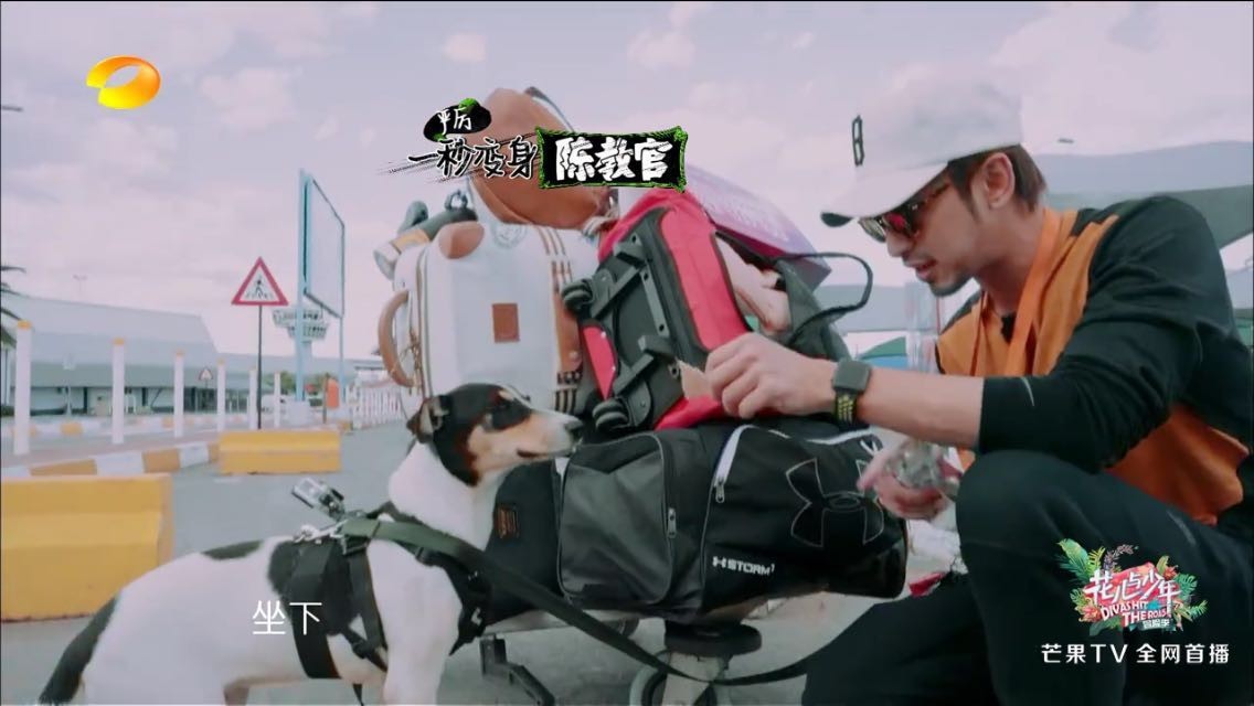 江疏影娜扎现场互相吐槽猝不及防,娜扎井柏然花少