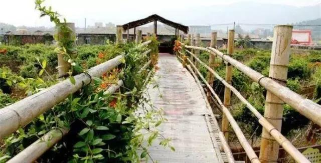 现在最值得去的农庄,农庄不收门票的秘诀