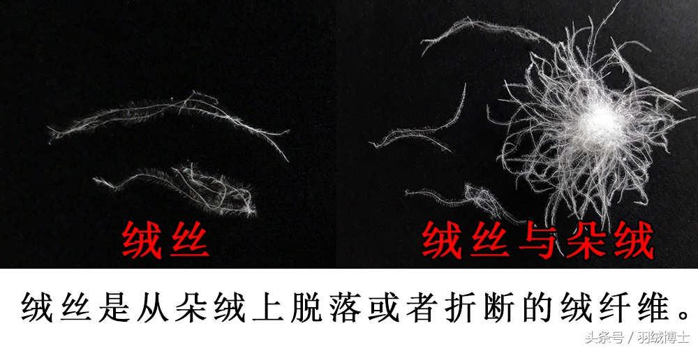 生产假冒伪劣羽绒服,羽绒服假冒伪劣产品