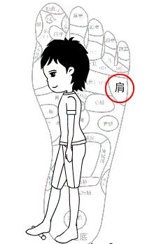 教你一套健体操，解决你的腰酸背痛，吃嘛嘛香，身体倍棒