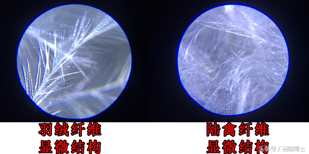 生产假冒伪劣羽绒服,羽绒服假冒伪劣产品