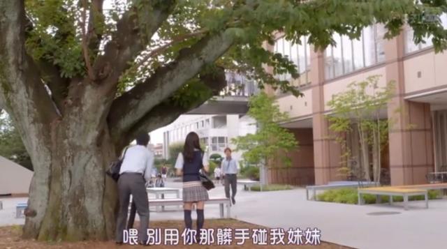 高甜片寄凉太日剧推荐,日剧哥哥太爱我了怎么办