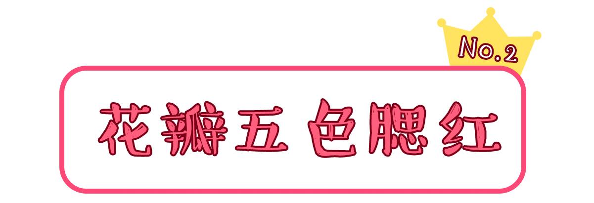 日本最受欢迎奢侈品排行,日本canmake唇膏哪个好看