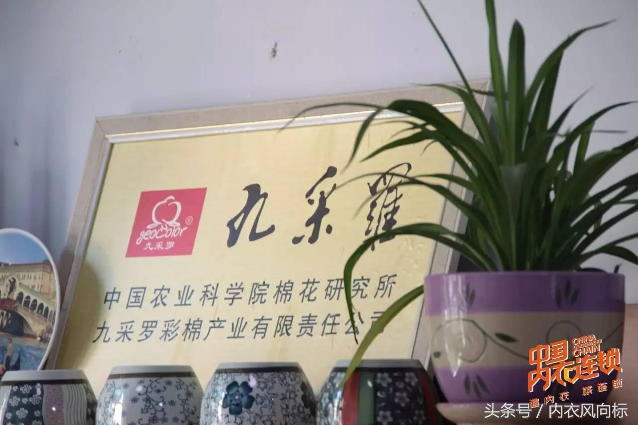 内衣连锁10大品牌,知名内衣连锁