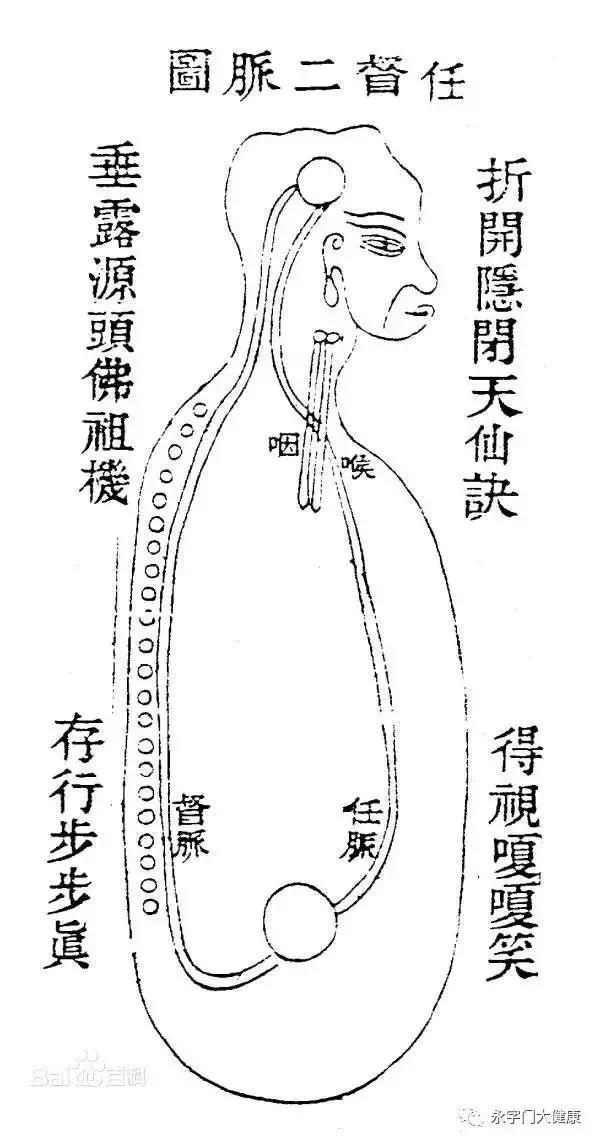 奇经八脉理论完整版,奇经八脉详解视频