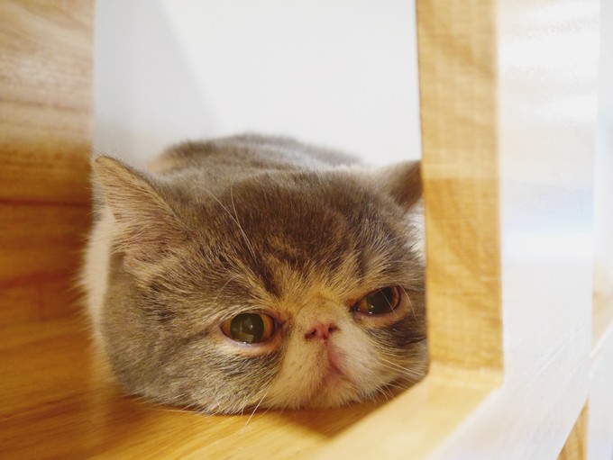 三天吃遍曼谷精选美食（给第一次去曼谷的你）