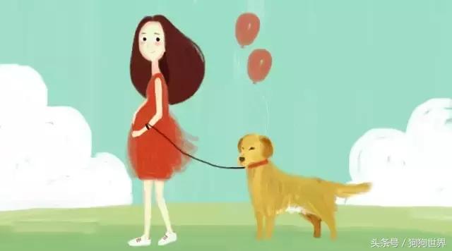 孕妇几个月就可以养宠物狗狗了,孕期如何健康的养狗