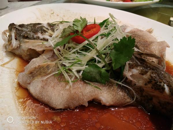 你问我答知识问答100条,你问我答问题100条有趣