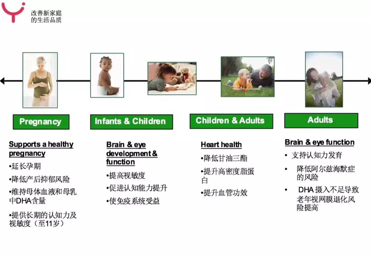 孩子大脑发育的三个关键期,孩子大脑发育关注力不集中