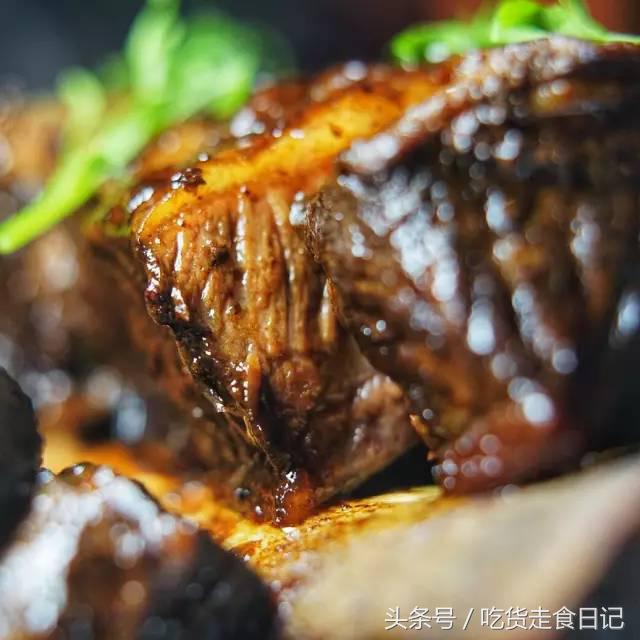 澳门酒店旅游指南,澳门住宿攻略自由行便宜酒店推荐