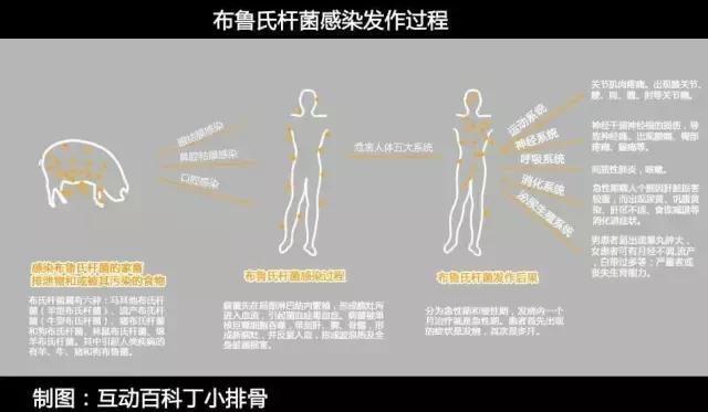 这种狗狗的“花柳病”，得了就必须安乐死？！