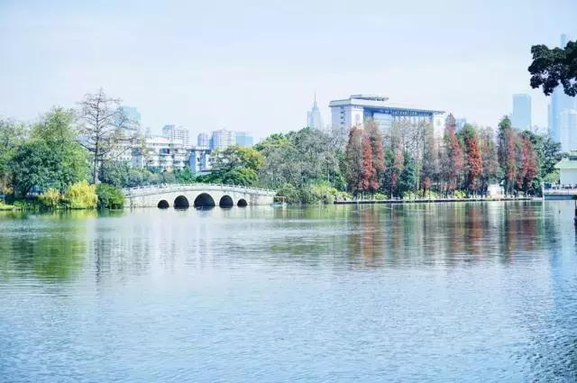 还坐什么地铁？坐上这趟最美公交，我宁愿堵成狗！