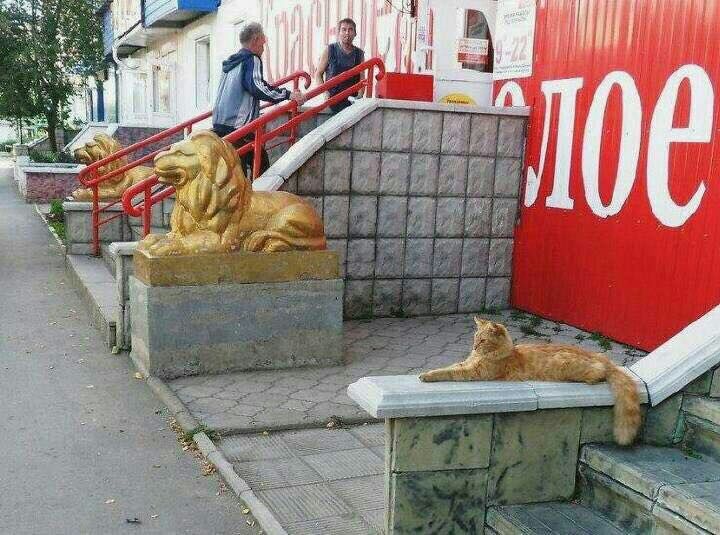 十条笑话,十条笑话笑到你牙疼