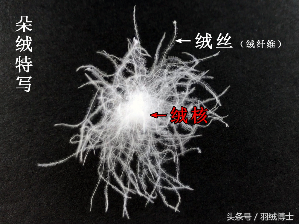 生产假冒伪劣羽绒服,羽绒服假冒伪劣产品