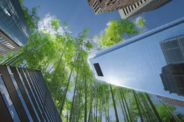 在深圳怎样租到合适的房子,如何在深圳租到好的公寓房