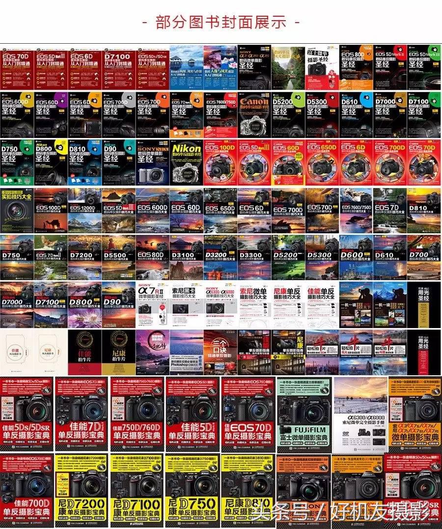 简单介绍黄金分割线构图法的原理,黄金分割线原理