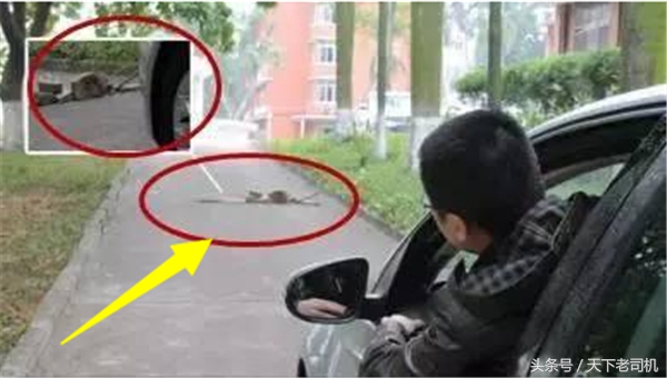 开车紧急情况怎么避险,开车遇这9种险情应如何紧急避险