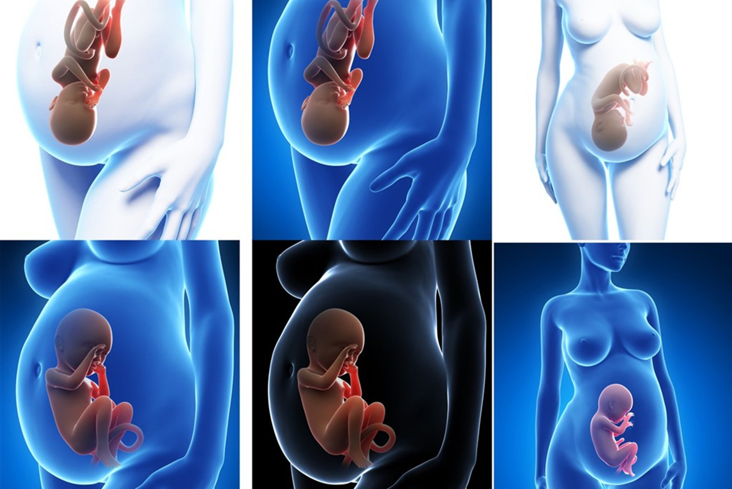 孕妈请关注羊水真的很重要,羊水的主要生理功能