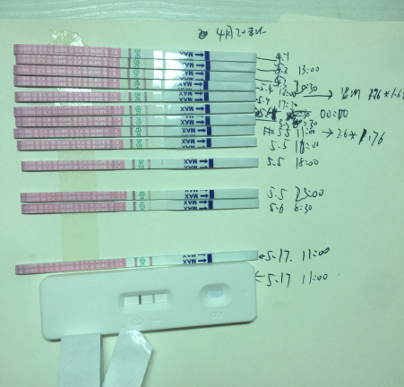 备孕期间有几个成熟卵泡是正常的,科学备孕成功案例