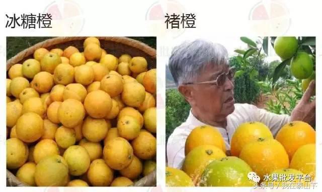 水果分类分为哪几类,超市水果分类表一览表