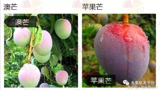 水果分类分为哪几类,超市水果分类表一览表