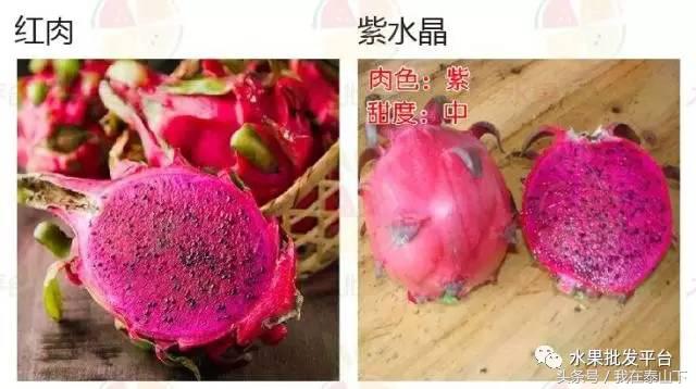 水果分类分为哪几类,超市水果分类表一览表