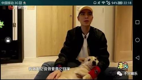 萧敬腾领养狗狗,萧敬腾领养孩子