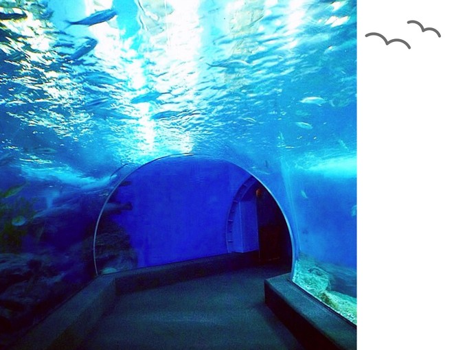 三天吃遍曼谷精选美食（给第一次去曼谷的你）