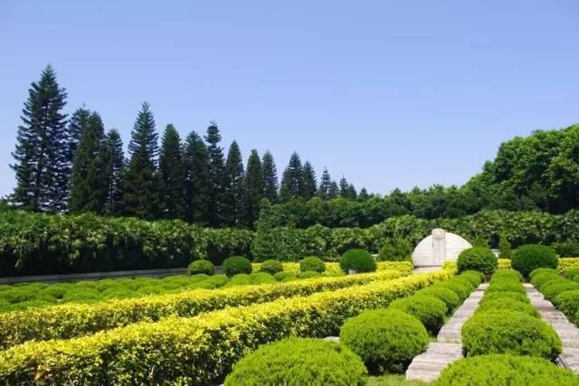 原来的羊城通卡能添加到手机上吗,羊城通香港可以用吗