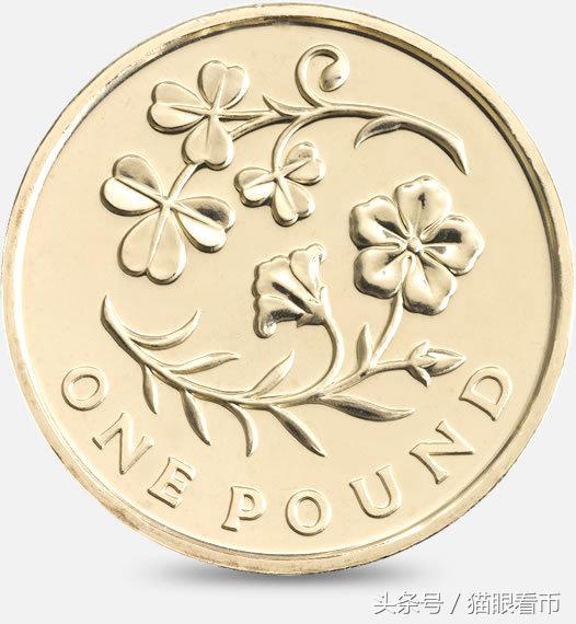 英镑硬币哪种最值钱,英国190几年的旧硬币哪种最值钱