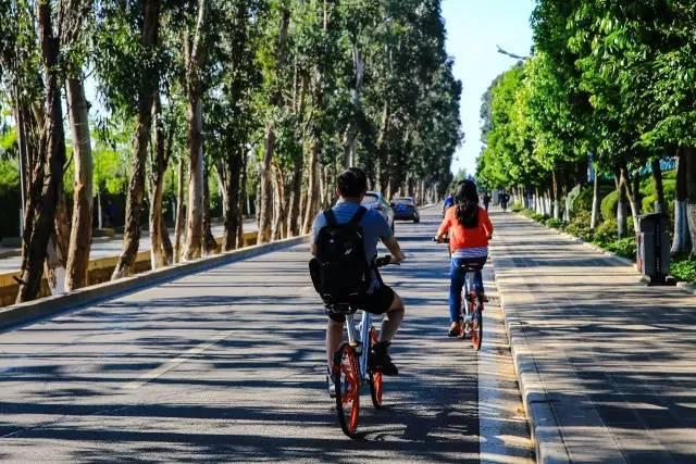 西南华邑酒店攻略,大理华邑酒店