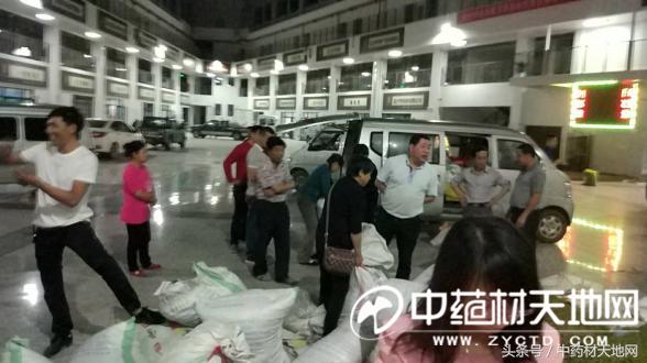 覆盆子涨价原因 (近日覆盆子价格)