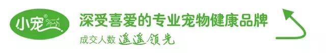 这种狗狗的“花柳病”，得了就必须安乐死？！