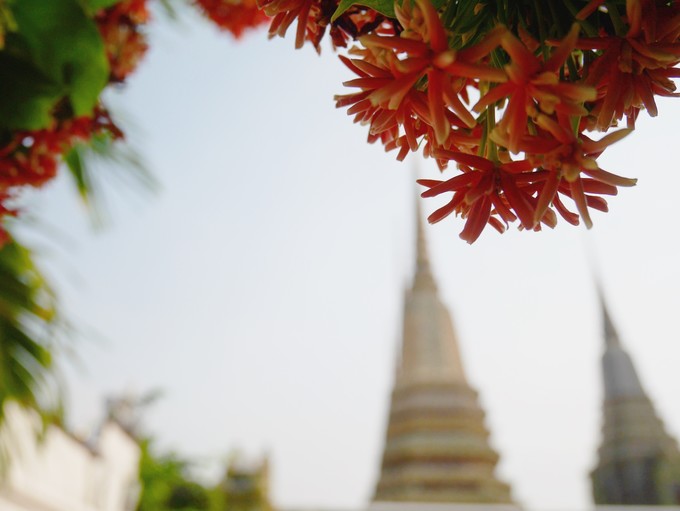 三天吃遍曼谷精选美食（给第一次去曼谷的你）