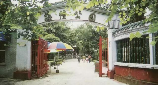 还坐什么地铁？坐上这趟最美公交，我宁愿堵成狗！