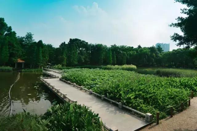 还坐什么地铁？坐上这趟最美公交，我宁愿堵成狗！