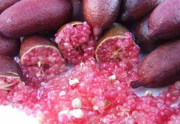 看一下那些你没有吃过的奇葩水果,哪十大奇葩水果吃了很富有