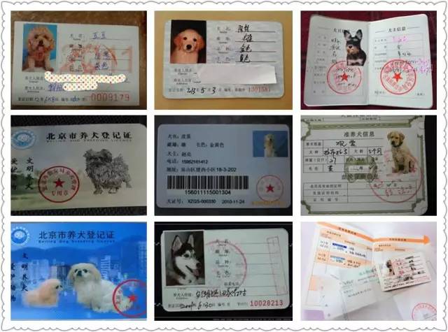 办狗证疑问在线解答,福州狗证办理多长时间能拿到狗证