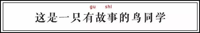 中国古代怪鸟,古代有什么奇特的鸟