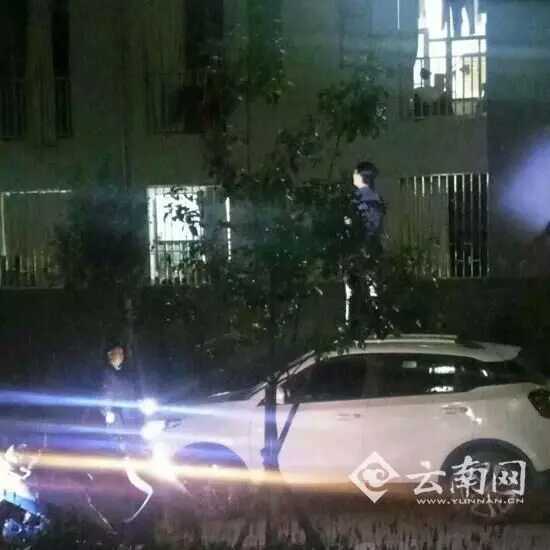 小熊叨叨叨：喜大普奔，组织要帮忙找对象啦！