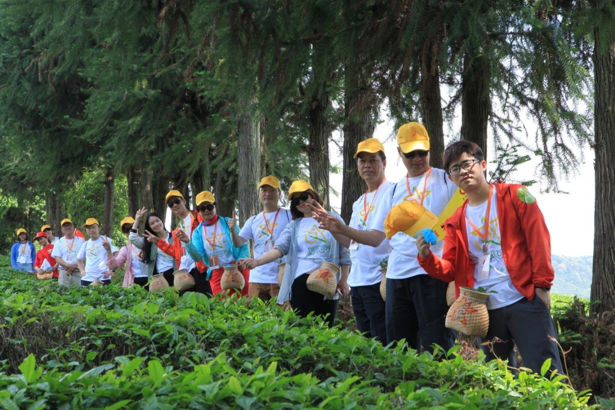 武夷星茶洞肉桂201品鉴,武夷山春茶