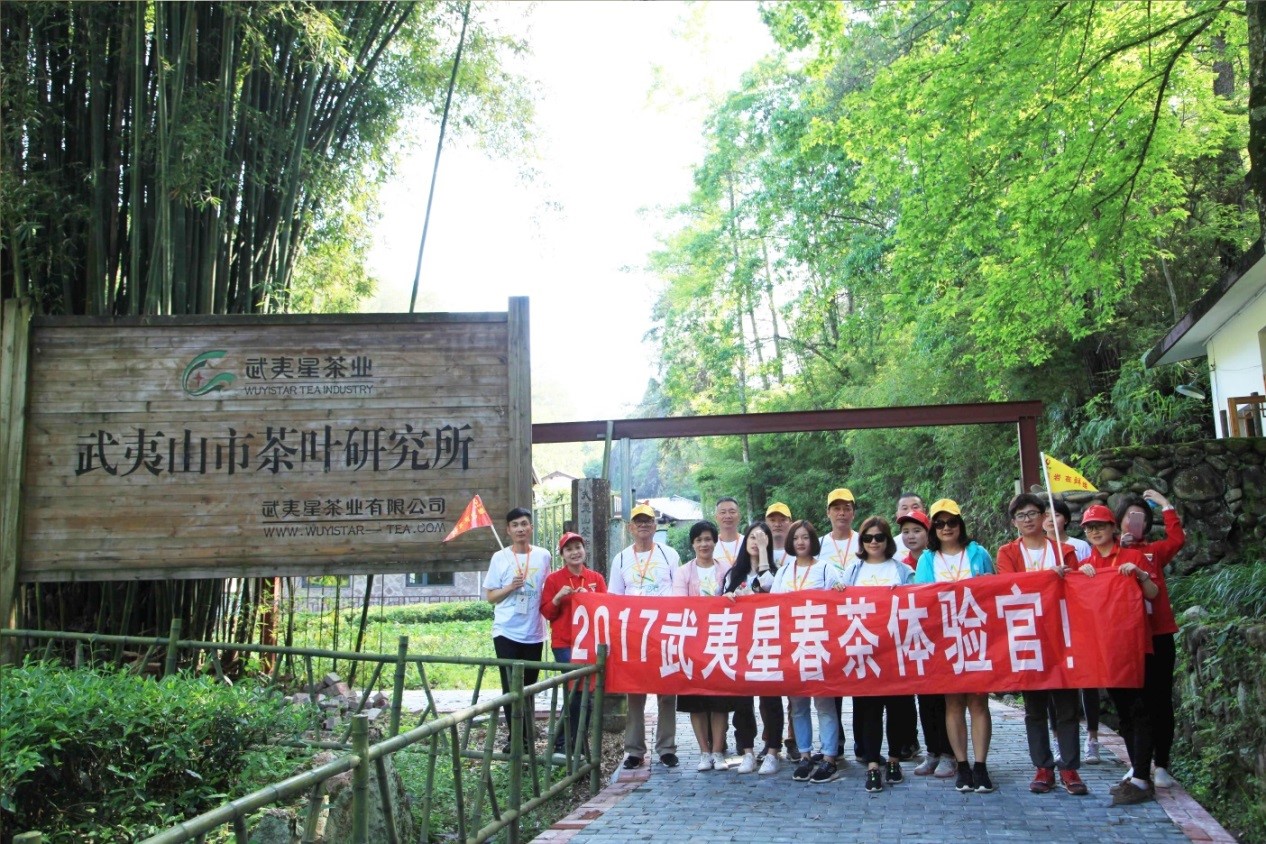 武夷星茶洞肉桂201品鉴,武夷山春茶