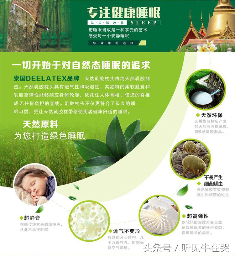 泰国乳胶枕latex,skytex泰国乳胶枕怎么样