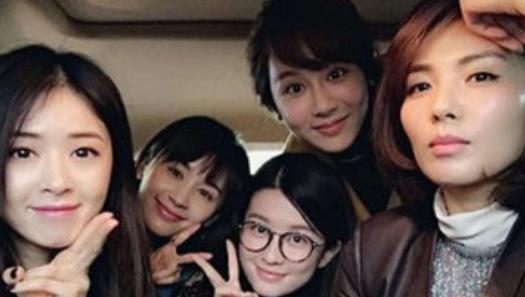 五美重返欢乐颂,五美为啥不演欢乐颂了