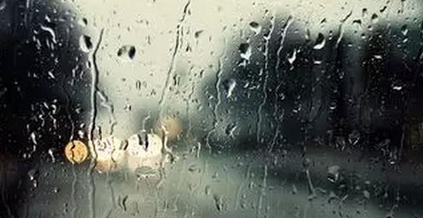 你喜欢的花开了,下雨了你喜欢晴天还是雨天