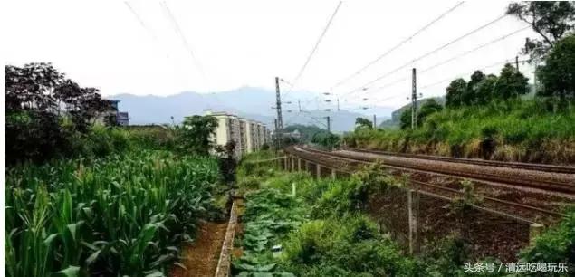 英德沙口的老乡，你们记忆中的家乡是不是这样的？