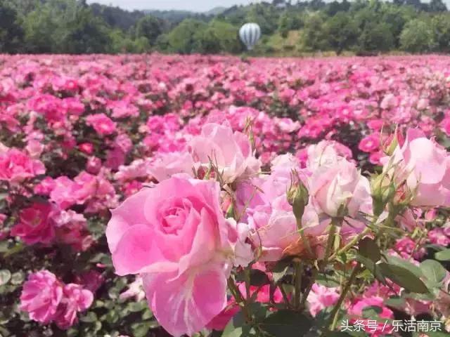 南京是一座很美的城市,南京最让人震撼的城市